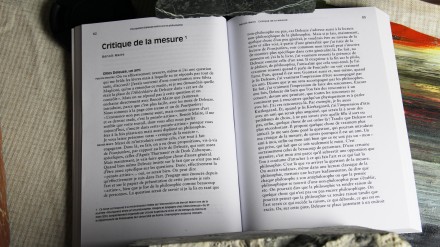 NEW RELEASE Benoit Maire's Critique de la mesure in POURPARLERS Deleuze entre art et philosophie