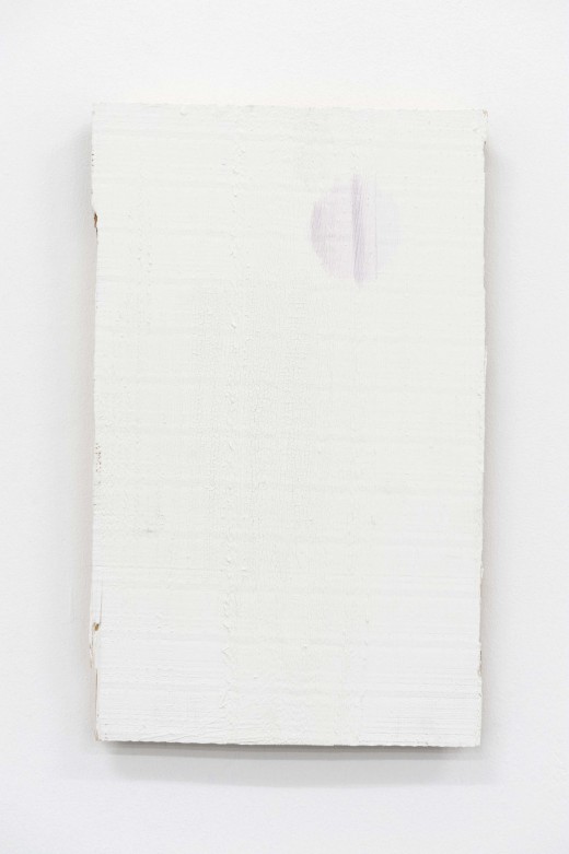 Benoît Maire - Works and Series of Works - Feuille blanche # 7